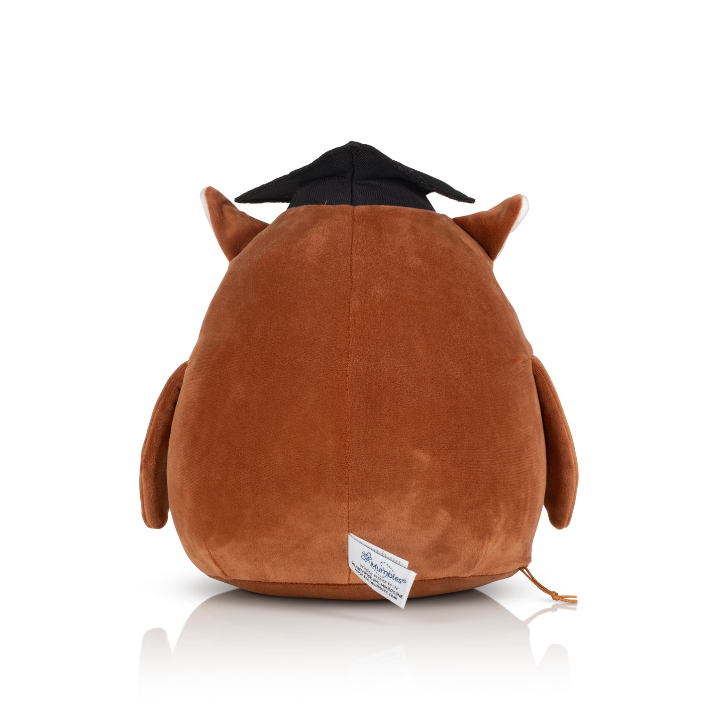 Squidgy Wise Owl