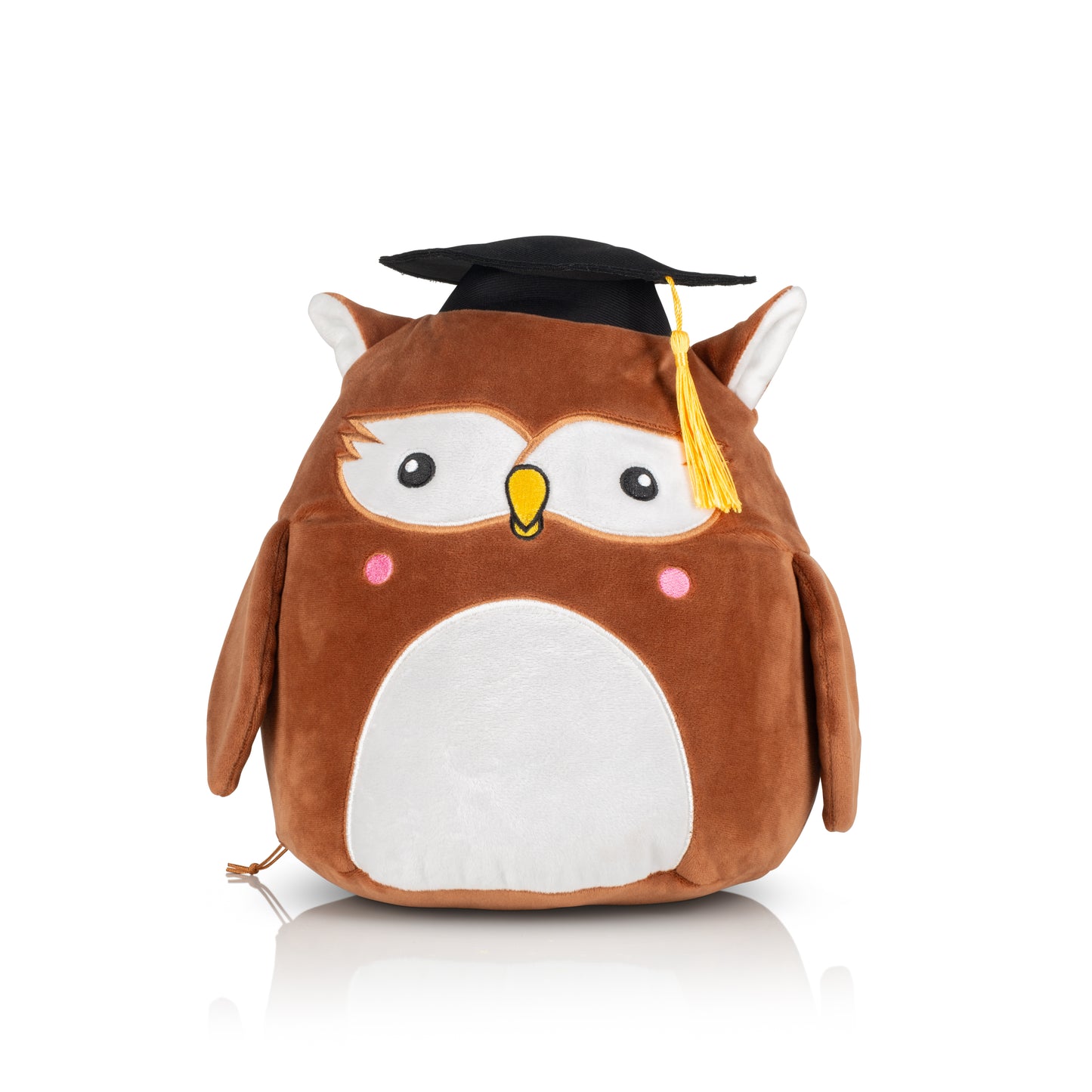 Squidgy Wise Owl