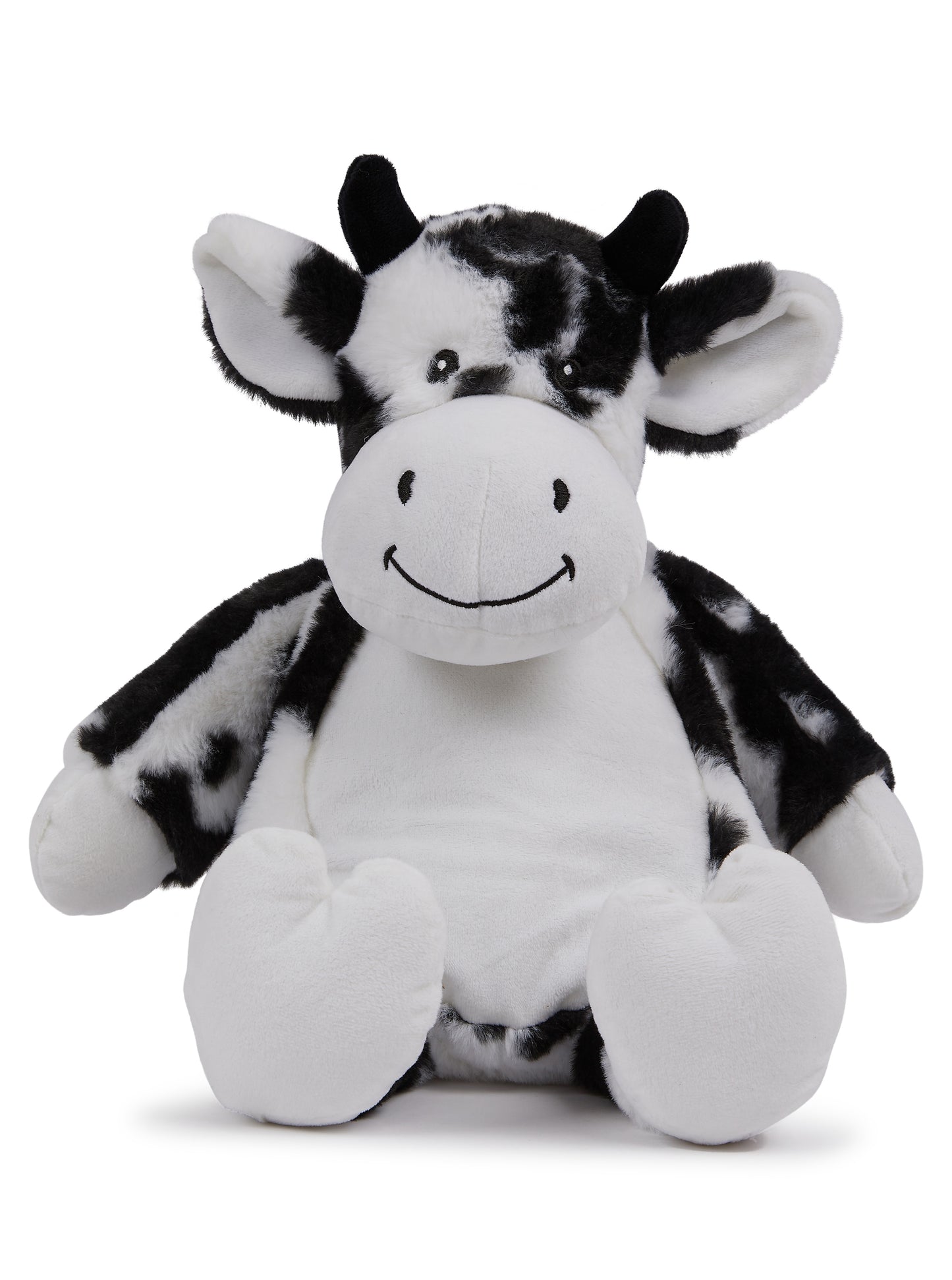 Black & White Cow